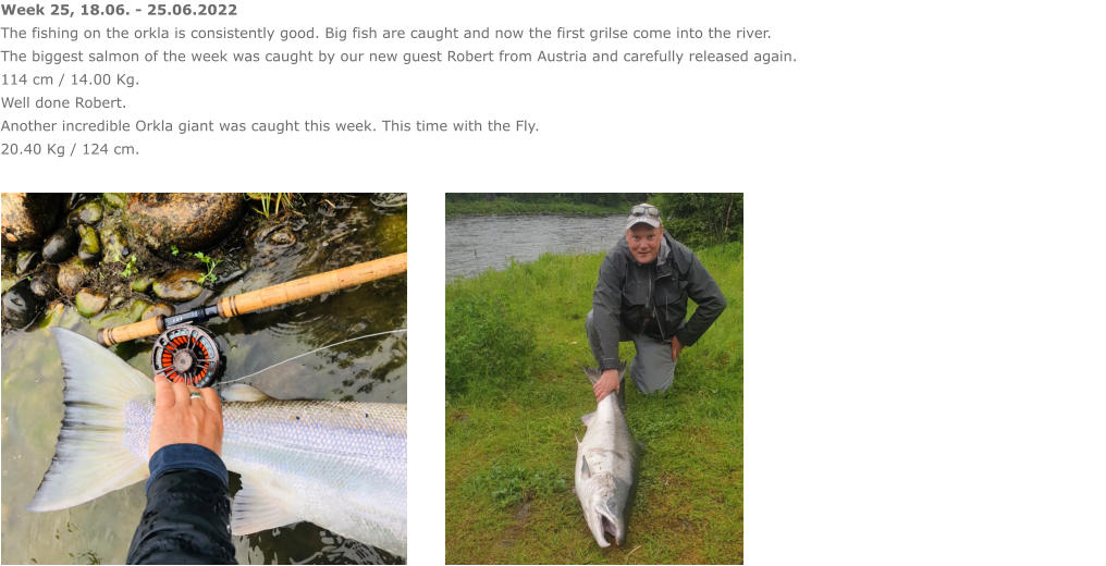 Week 25, 18.06. - 25.06.2022 The fishing on the orkla is consistently good. Big fish are caught and now the first grilse come into the river. The biggest salmon of the week was caught by our new guest Robert from Austria and carefully released again.  114 cm / 14.00 Kg. Well done Robert. Another incredible Orkla giant was caught this week. This time with the Fly. 20.40 Kg / 124 cm.