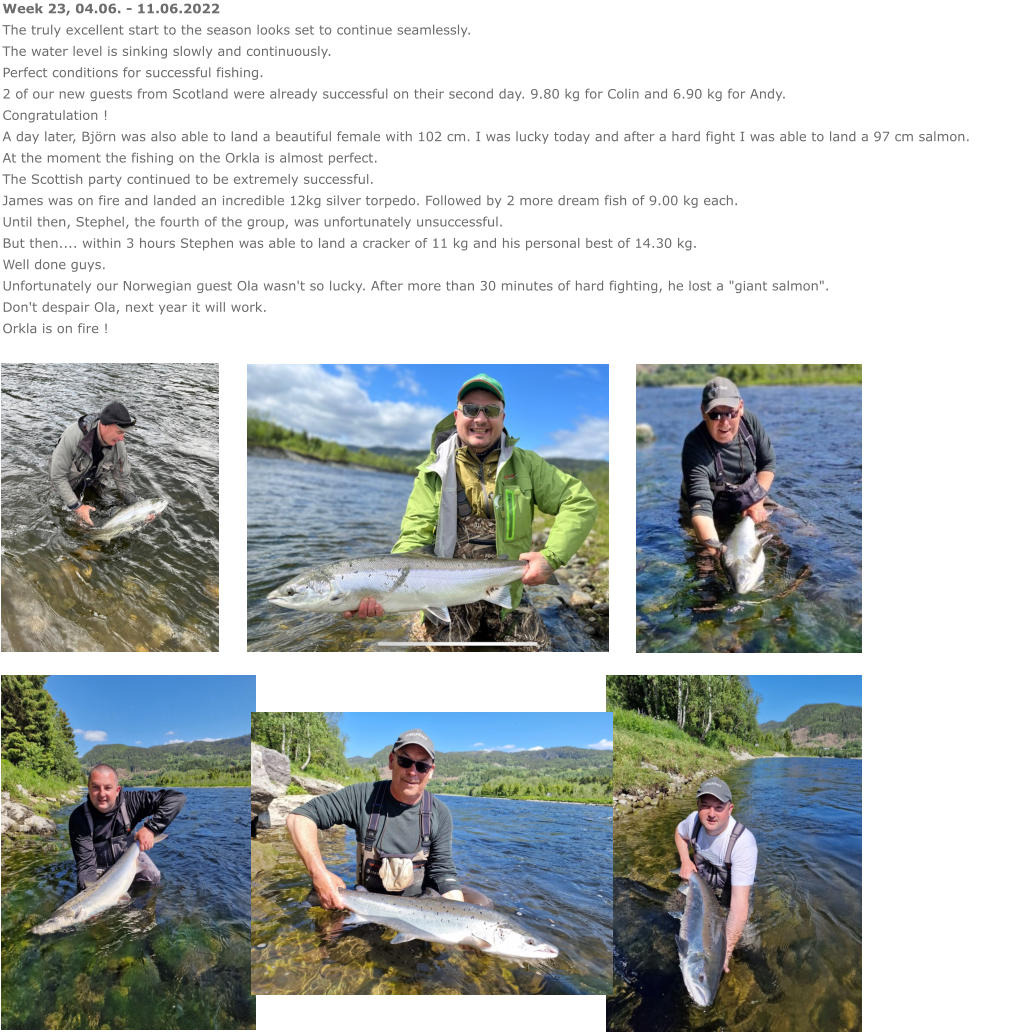 Week 23, 04.06. - 11.06.2022 The truly excellent start to the season looks set to continue seamlessly. The water level is sinking slowly and continuously. Perfect conditions for successful fishing. 2 of our new guests from Scotland were already successful on their second day. 9.80 kg for Colin and 6.90 kg for Andy. Congratulation ! A day later, Björn was also able to land a beautiful female with 102 cm. I was lucky today and after a hard fight I was able to land a 97 cm salmon. At the moment the fishing on the Orkla is almost perfect. The Scottish party continued to be extremely successful.  James was on fire and landed an incredible 12kg silver torpedo. Followed by 2 more dream fish of 9.00 kg each. Until then, Stephel, the fourth of the group, was unfortunately unsuccessful.  But then.... within 3 hours Stephen was able to land a cracker of 11 kg and his personal best of 14.30 kg. Well done guys. Unfortunately our Norwegian guest Ola wasn't so lucky. After more than 30 minutes of hard fighting, he lost a "giant salmon".  Don't despair Ola, next year it will work. Orkla is on fire !