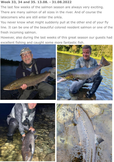 Week 33, 34 and 35. 13.08. - 31.08.2022 The last few weeks of the salmon season are always very exciting. There are many salmon of all sizes in the river. And of course the latecomers who are still enter the orkla.  You never know what might suddenly pull at the other end of your fly line. It can be one of the beautiful colored resident salmon or one of the fresh incoming salmon. However, also during the last weeks of this great season our guests had excellent fishing and caught some more fantastic fish.