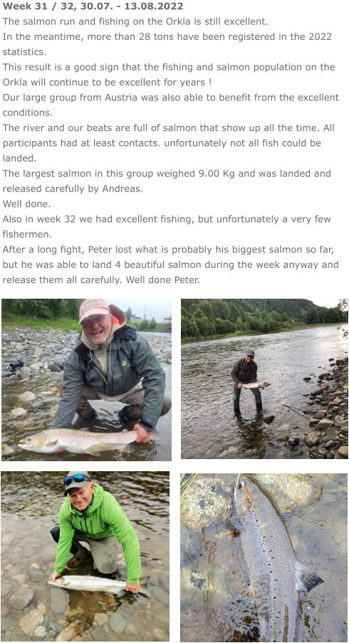 Week 31 / 32, 30.07. - 13.08.2022 The salmon run and fishing on the Orkla is still excellent. In the meantime, more than 28 tons have been registered in the 2022 statistics. This result is a good sign that the fishing and salmon population on the Orkla will continue to be excellent for years ! Our large group from Austria was also able to benefit from the excellent conditions.  The river and our beats are full of salmon that show up all the time. All participants had at least contacts. unfortunately not all fish could be landed. The largest salmon in this group weighed 9.00 Kg and was landed and released carefully by Andreas. Well done. Also in week 32 we had excellent fishing, but unfortunately a very few fishermen. After a long fight, Peter lost what is probably his biggest salmon so far, but he was able to land 4 beautiful salmon during the week anyway and release them all carefully. Well done Peter.
