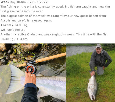 Week 25, 18.06. - 25.06.2022 The fishing on the orkla is consistently good. Big fish are caught and now the first grilse come into the river. The biggest salmon of the week was caught by our new guest Robert from Austria and carefully released again.  114 cm / 14.00 Kg. Well done Robert. Another incredible Orkla giant was caught this week. This time with the Fly. 20.40 Kg / 124 cm.