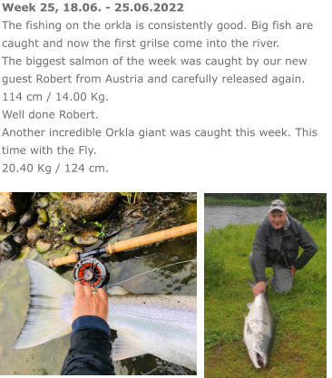 Week 25, 18.06. - 25.06.2022 The fishing on the orkla is consistently good. Big fish are caught and now the first grilse come into the river. The biggest salmon of the week was caught by our new guest Robert from Austria and carefully released again.  114 cm / 14.00 Kg. Well done Robert. Another incredible Orkla giant was caught this week. This time with the Fly. 20.40 Kg / 124 cm.
