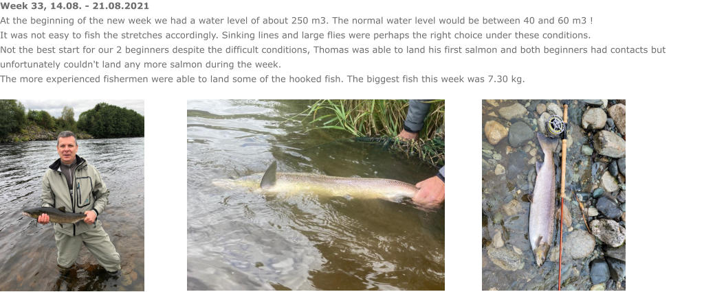 Week 33, 14.08. - 21.08.2021 At the beginning of the new week we had a water level of about 250 m3. The normal water level would be between 40 and 60 m3 ! It was not easy to fish the stretches accordingly. Sinking lines and large flies were perhaps the right choice under these conditions.  Not the best start for our 2 beginners despite the difficult conditions, Thomas was able to land his first salmon and both beginners had contacts but unfortunately couldn't land any more salmon during the week.  The more experienced fishermen were able to land some of the hooked fish. The biggest fish this week was 7.30 kg.