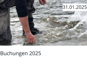 Buchungen 2025  31.01.2025