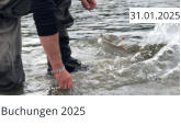 Buchungen 2025  31.01.2025