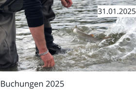 Buchungen 2025  31.01.2025